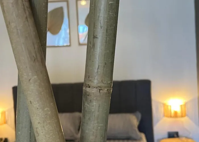 Apartment Queen, Saint Vlas, улица черно море 12